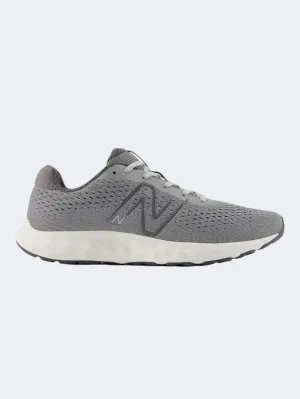 New Balance 520 Men Running Shoes Castlerock/ Magnet